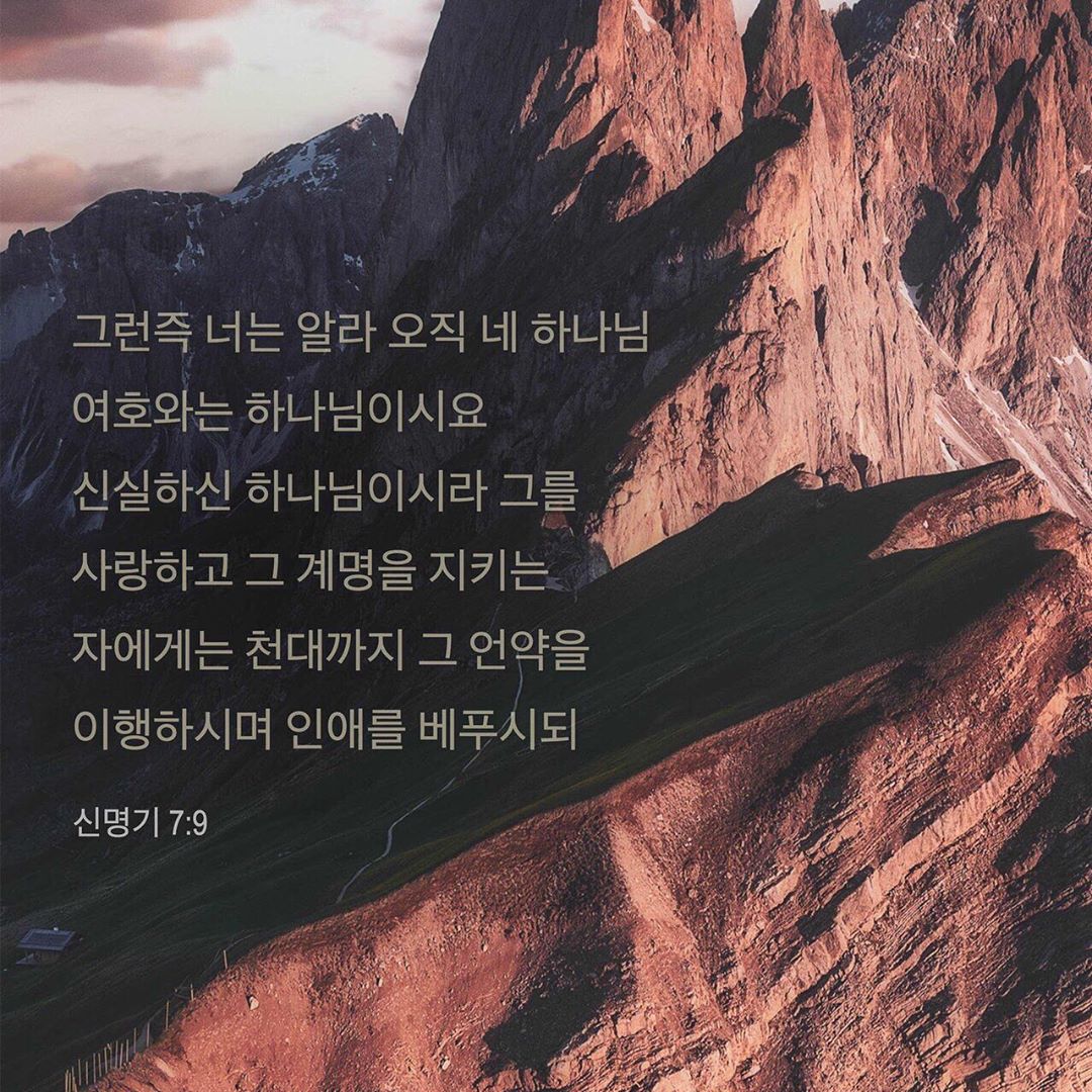 성구이미지