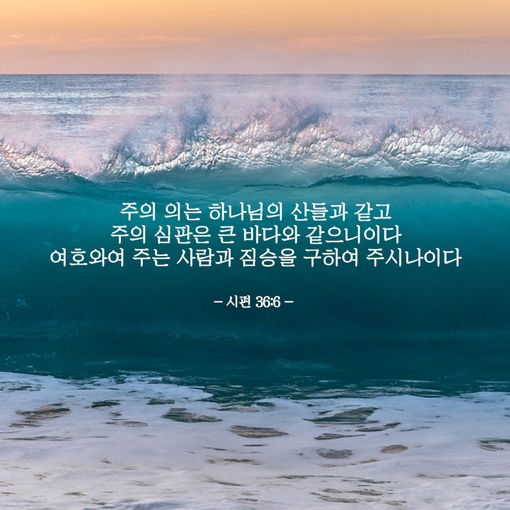성구이미지