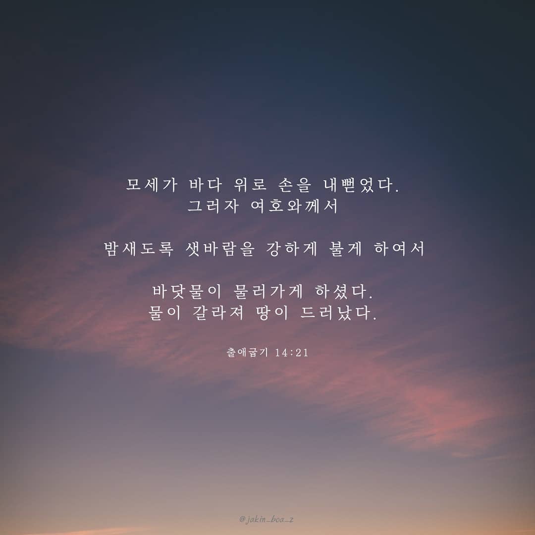 성구이미지