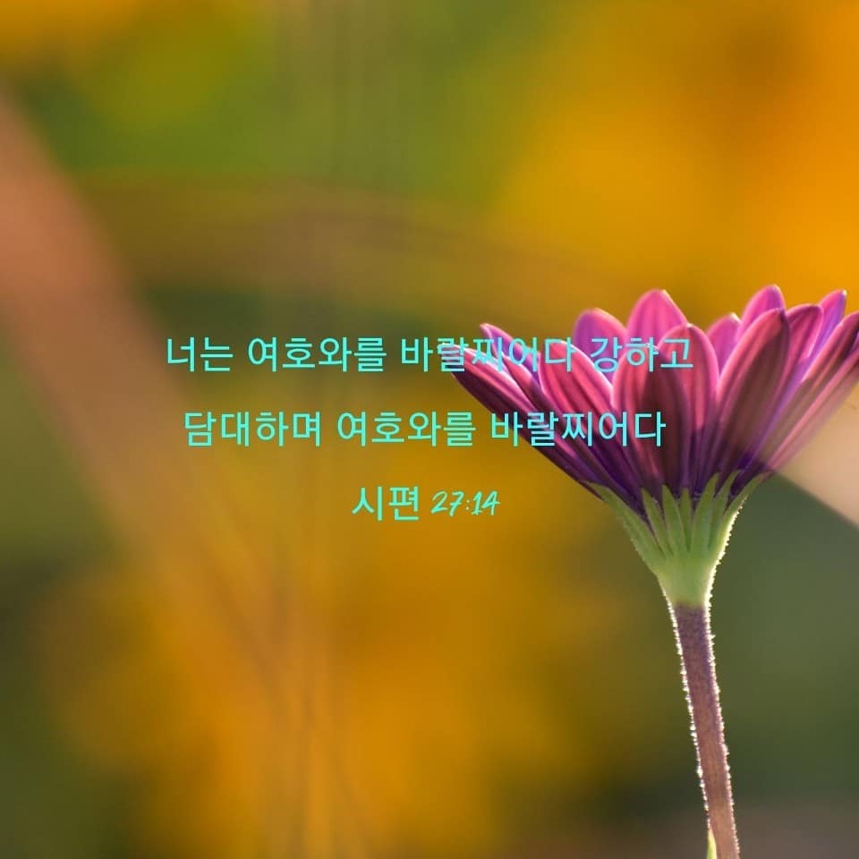 성구이미지