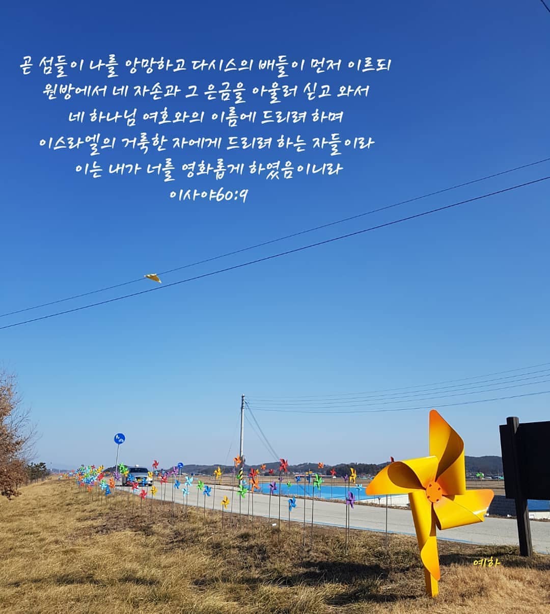 성구이미지
