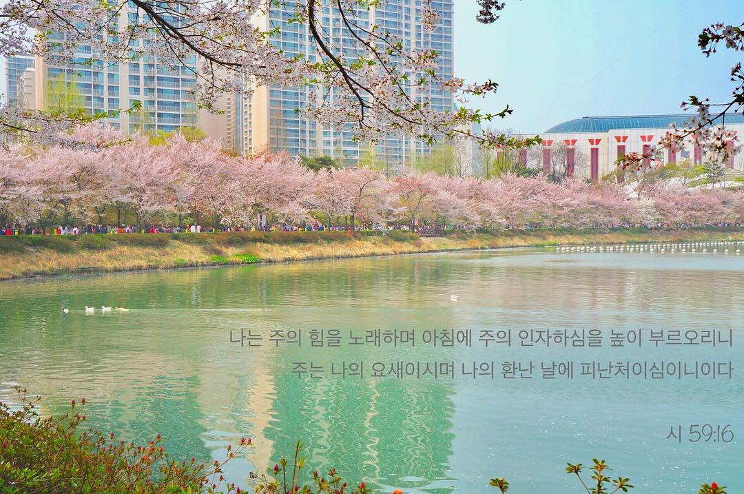 성구이미지