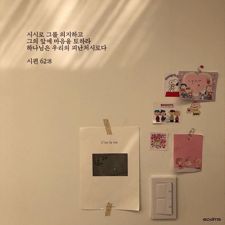 성구이미지