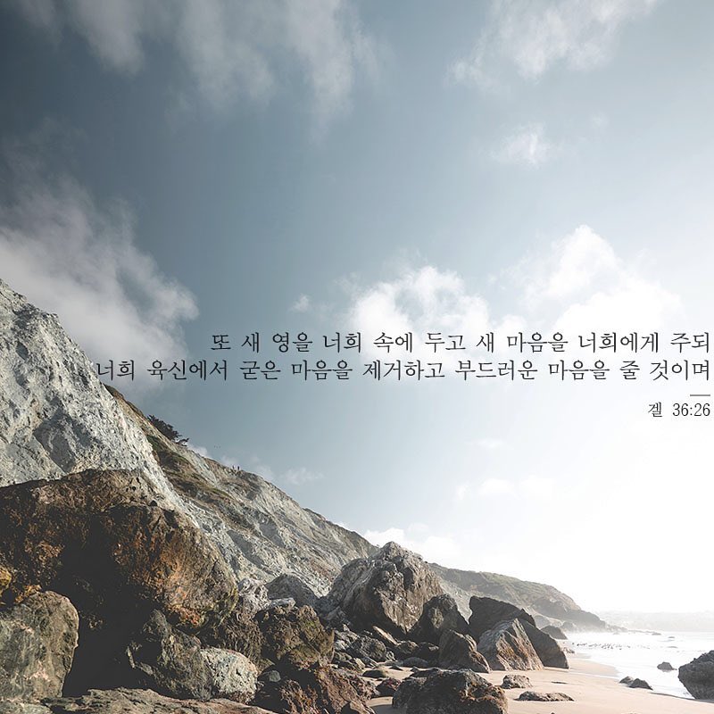 성구이미지