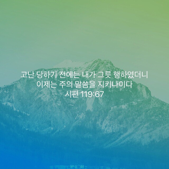 성구이미지
