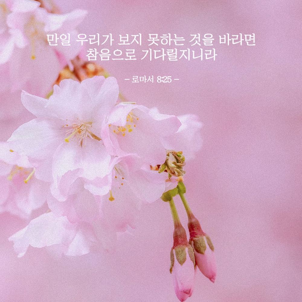 성구이미지