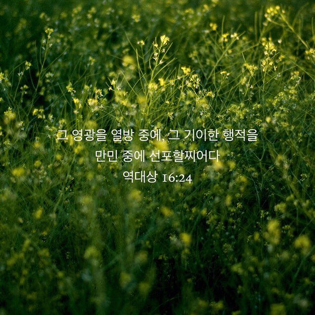 성구이미지