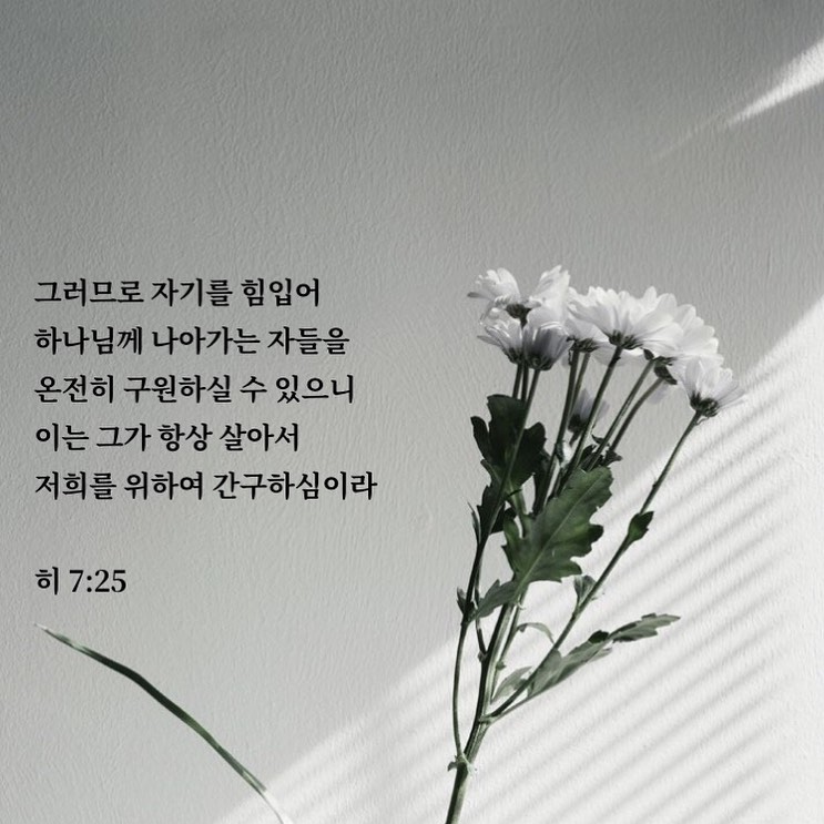 성구이미지