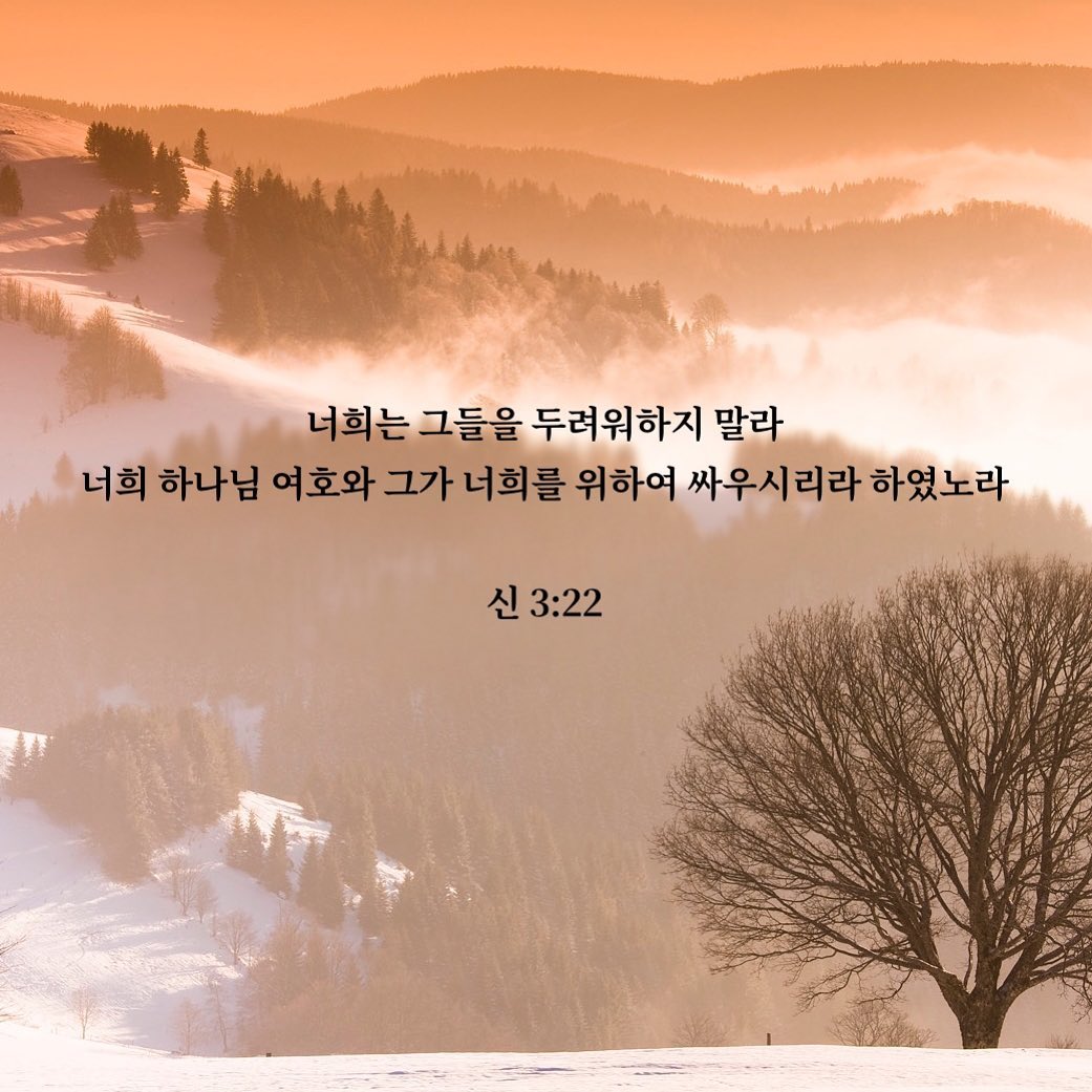 성구이미지