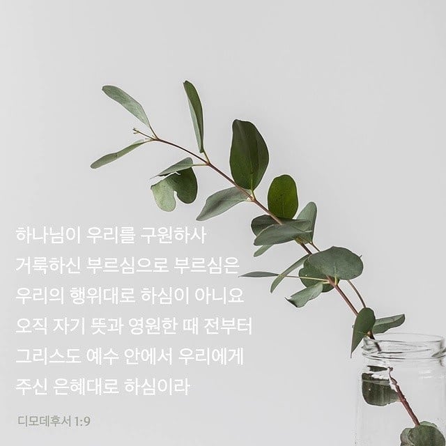 성구이미지