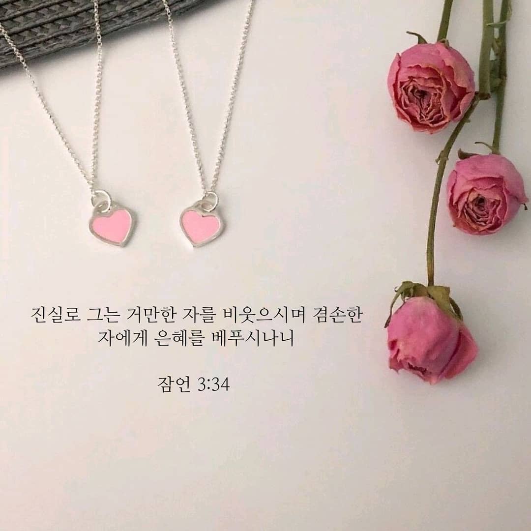 성구이미지