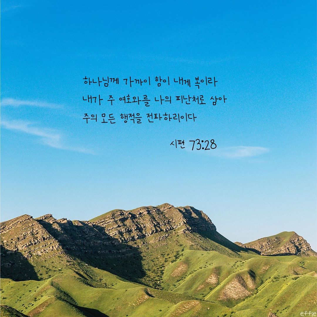 성구이미지