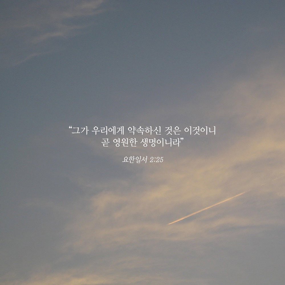 성구이미지