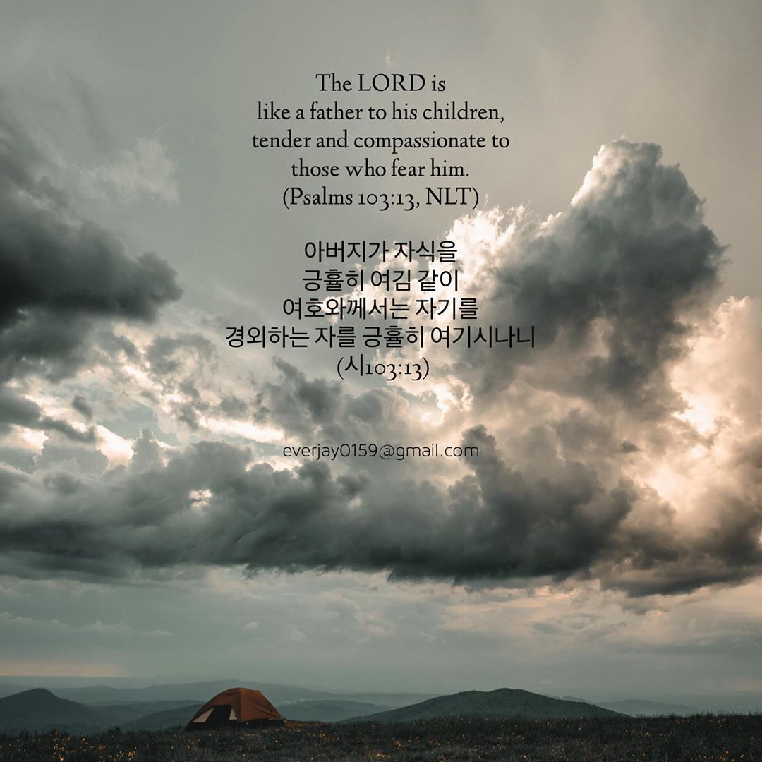 성구이미지