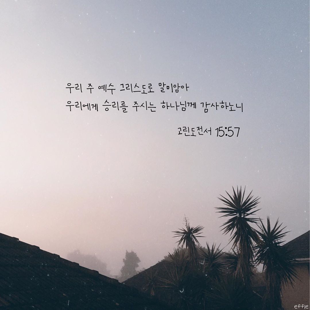 성구이미지