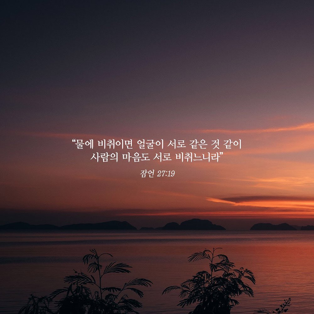 성구이미지