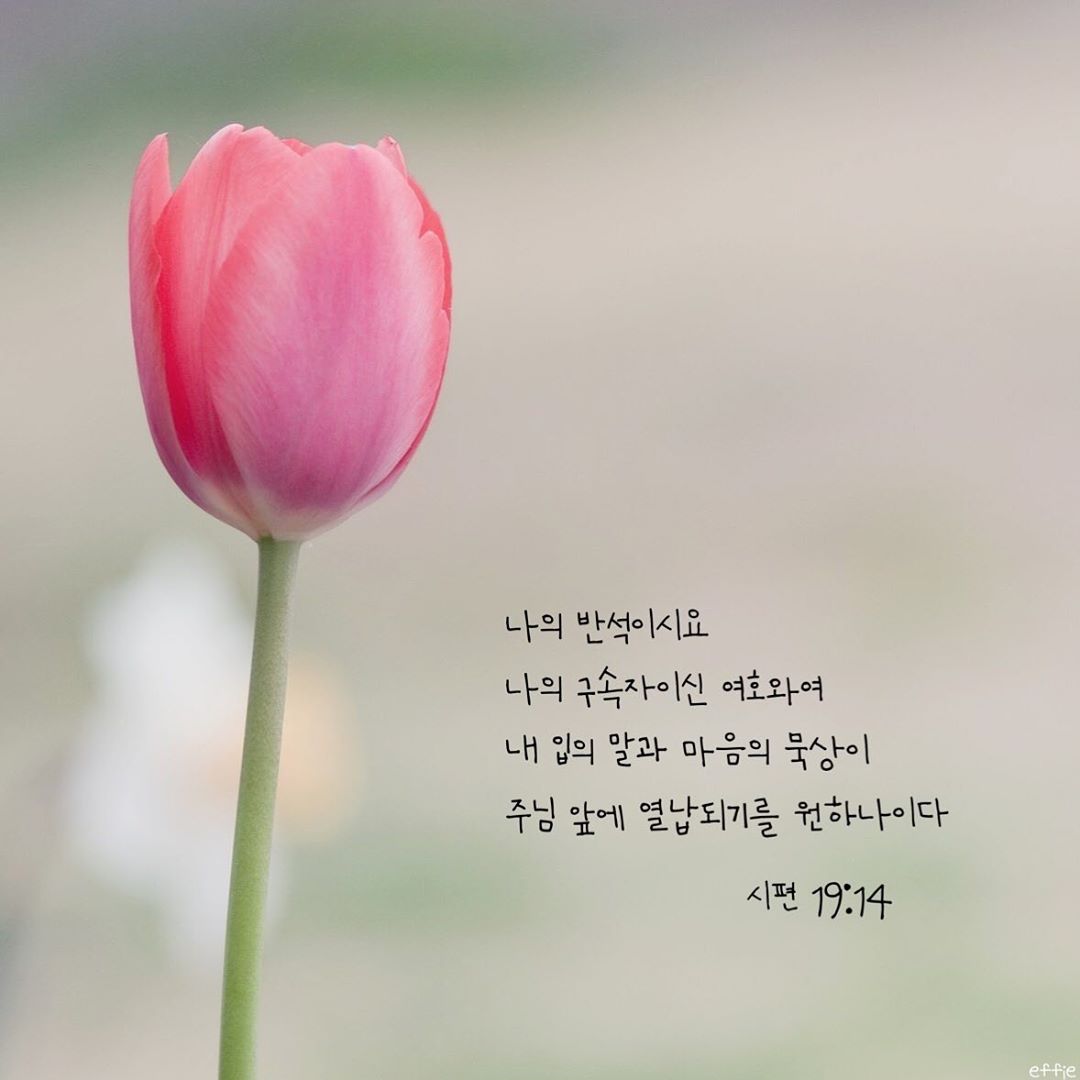 성구이미지