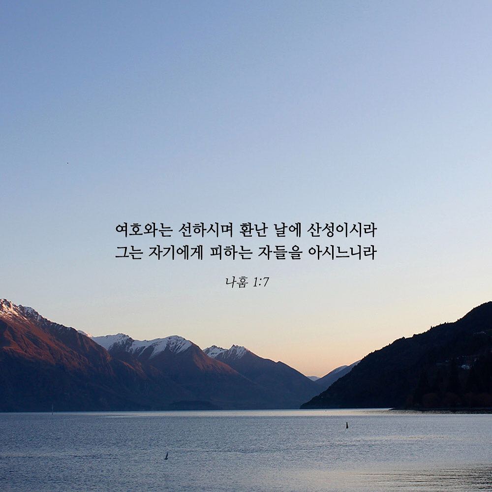 성구이미지