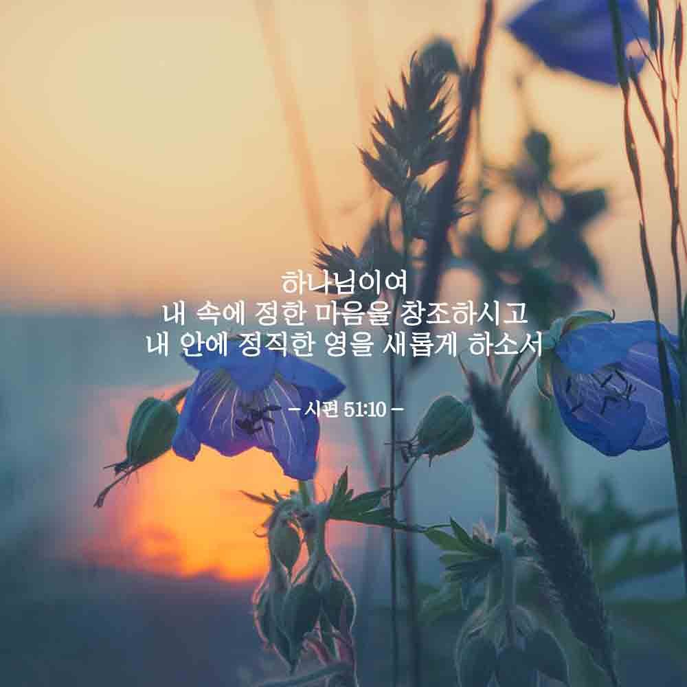 성구이미지
