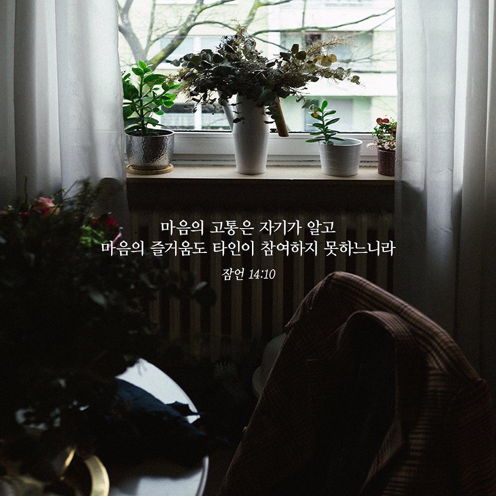 성구이미지