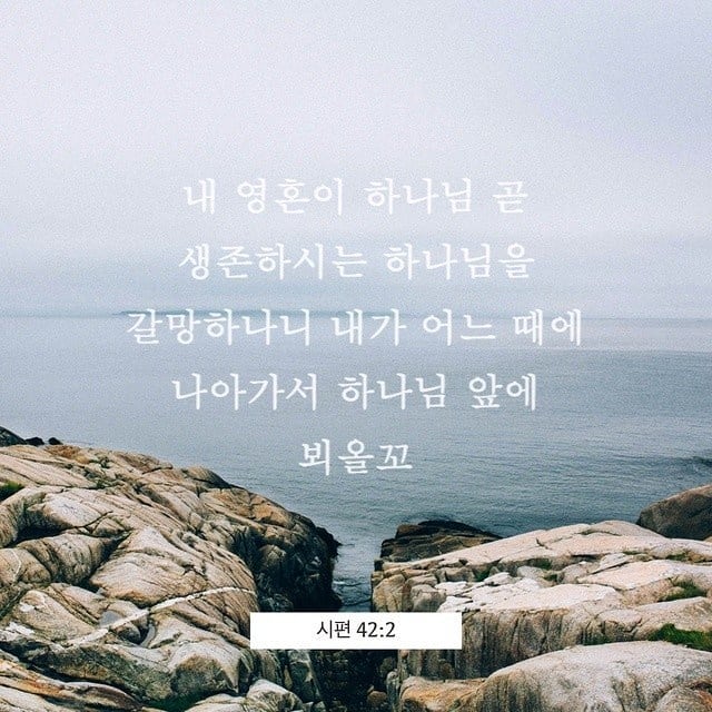 성구이미지