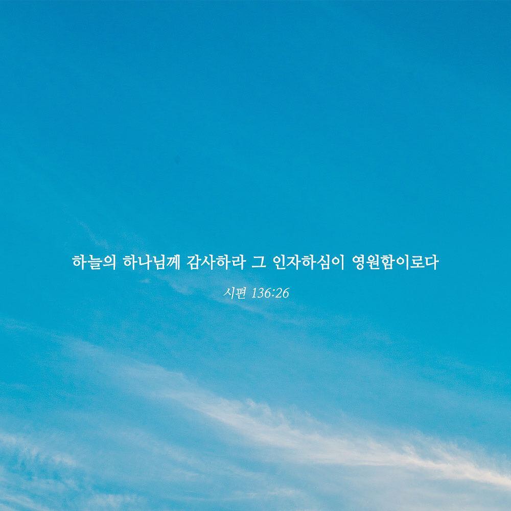 성구이미지