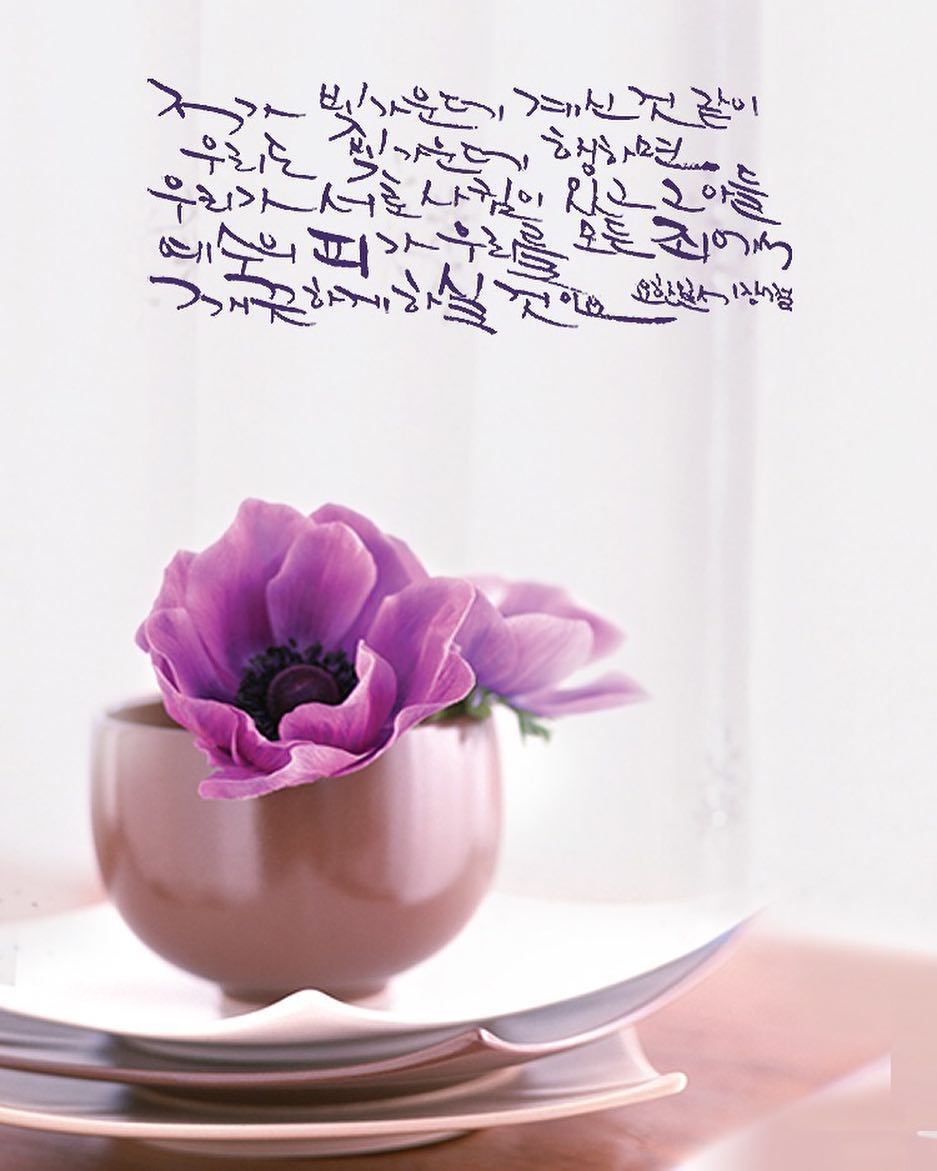 성구이미지