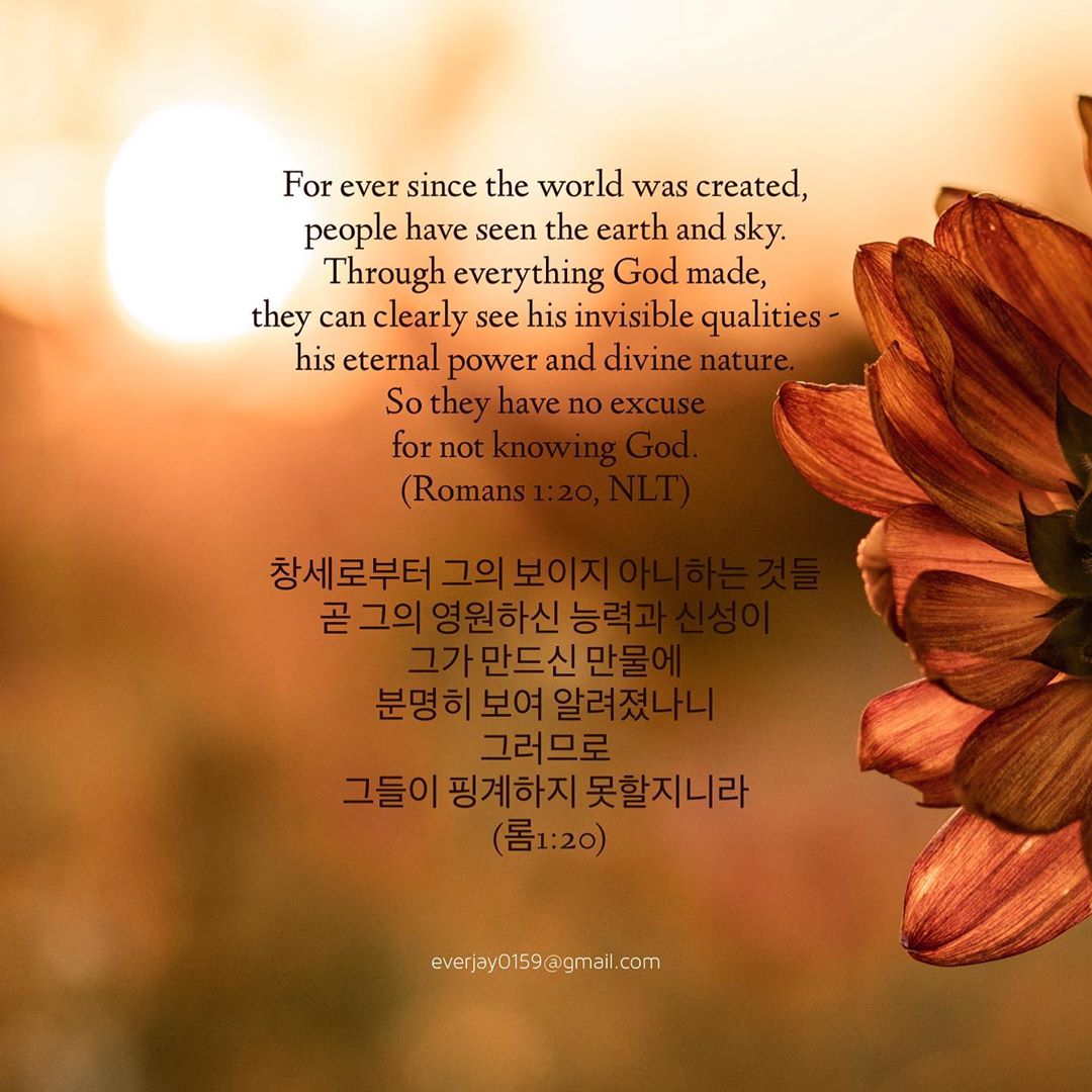 성구이미지