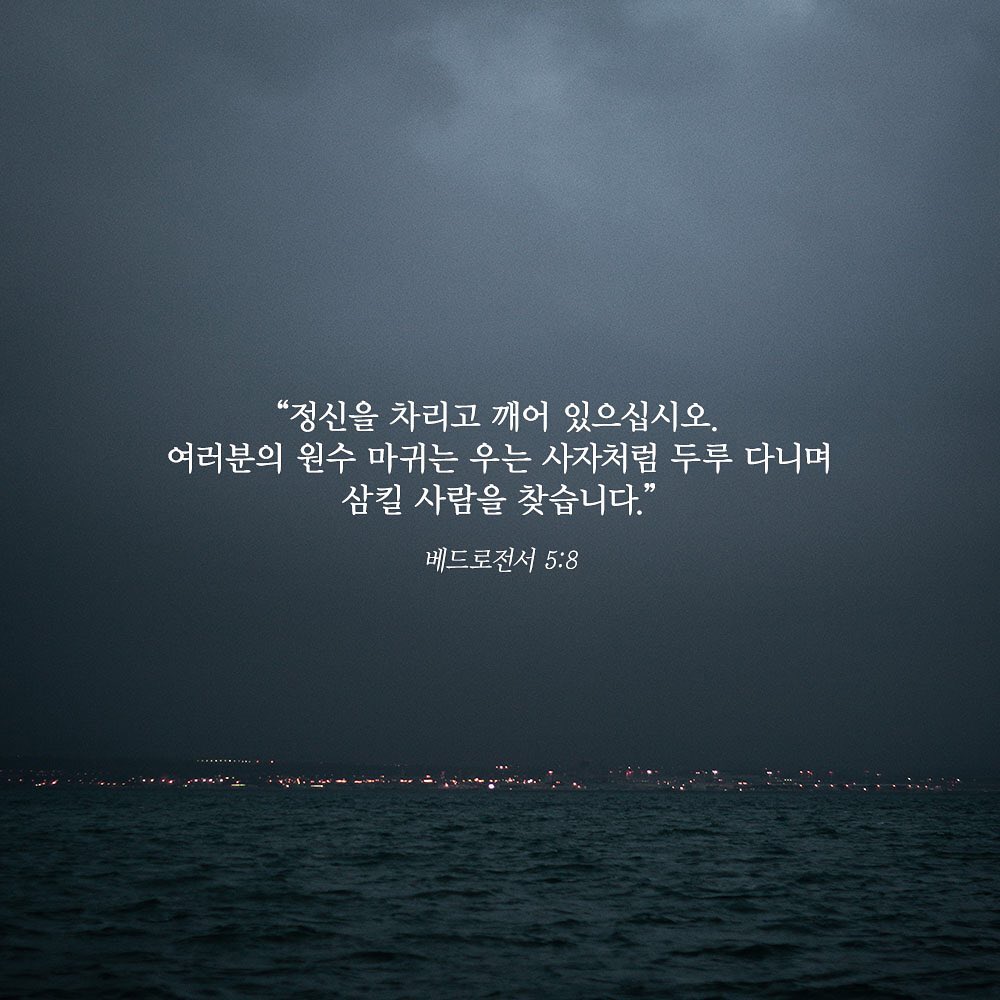 성구이미지