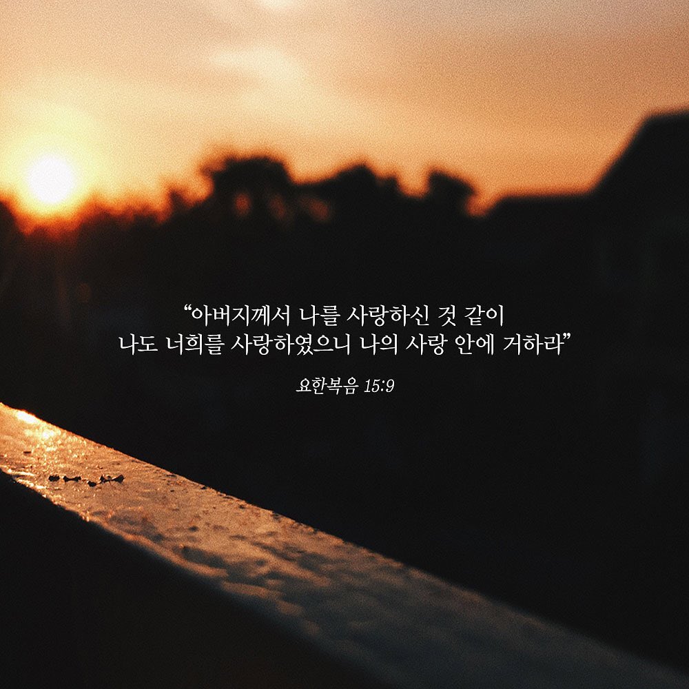 성구이미지