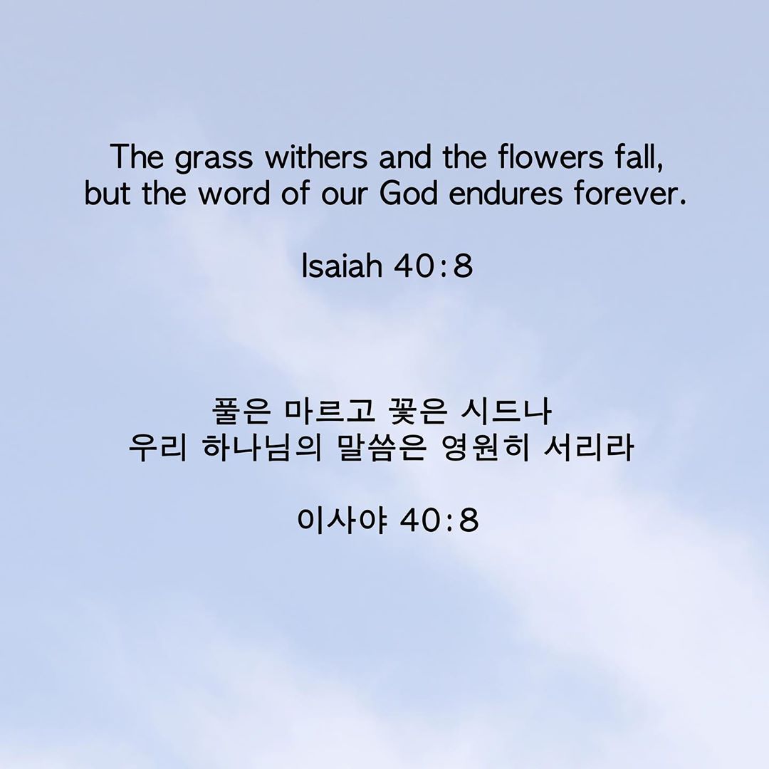 성구이미지