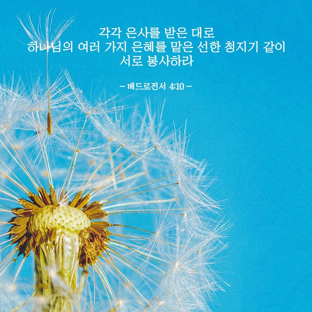 성구이미지