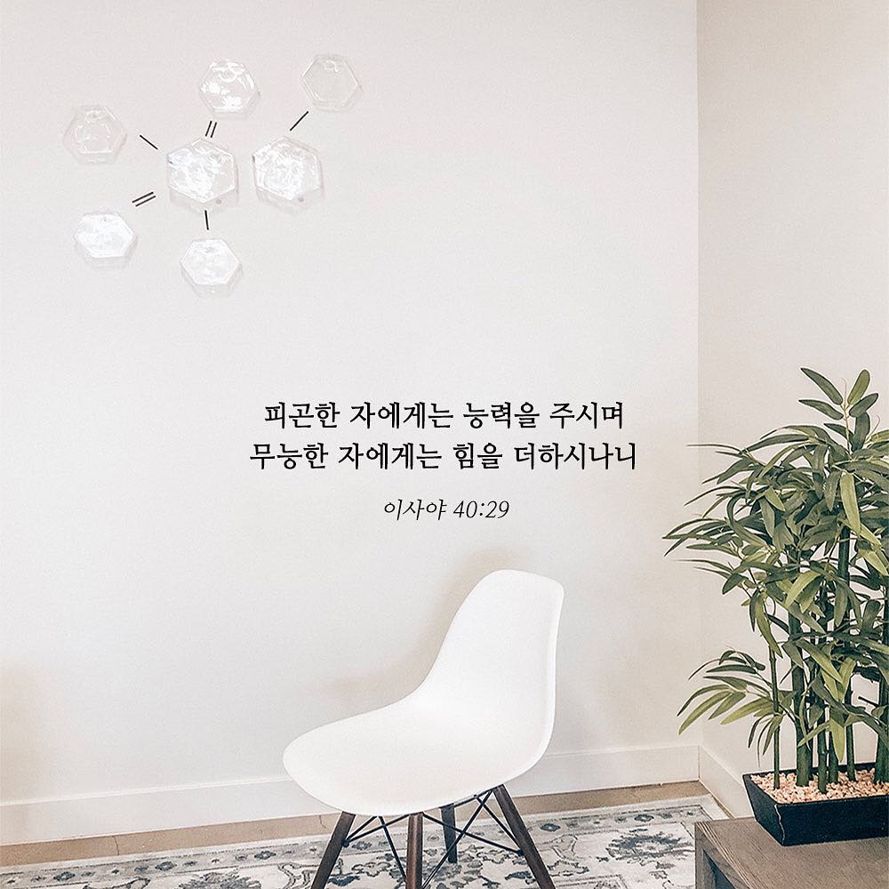 성구이미지