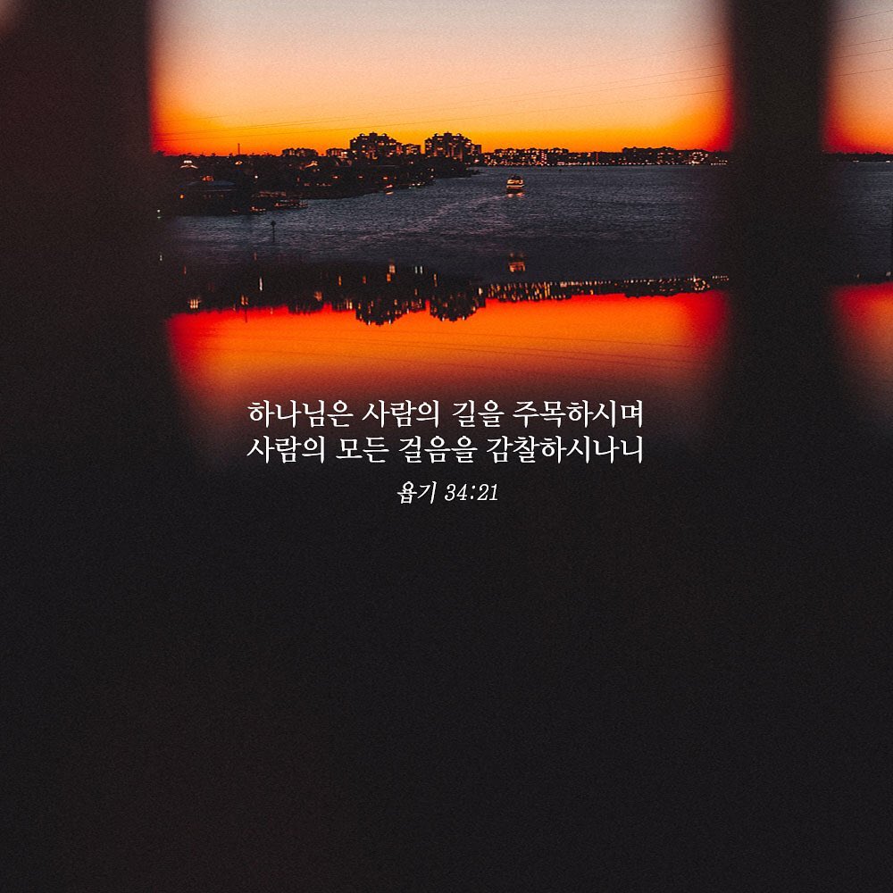 성구이미지