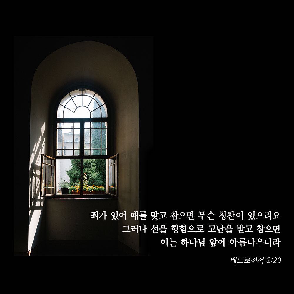 성구이미지