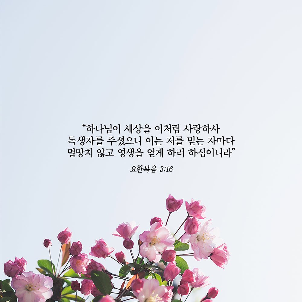 성구이미지