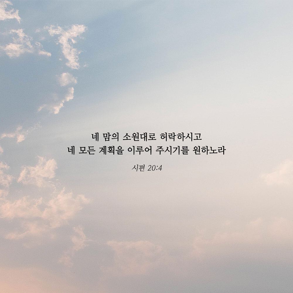 성구이미지