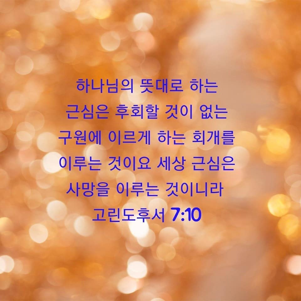 성구이미지