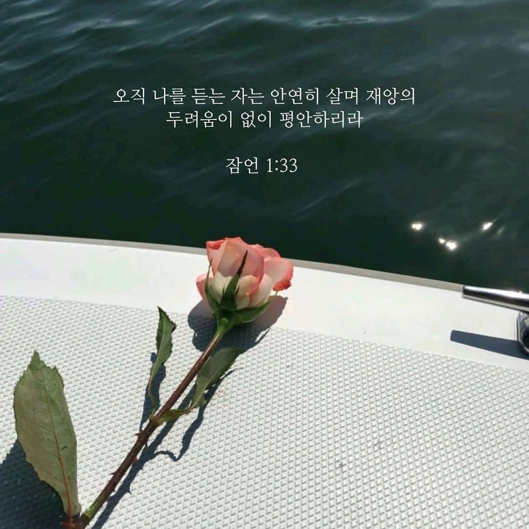 성구이미지