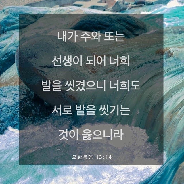성구이미지