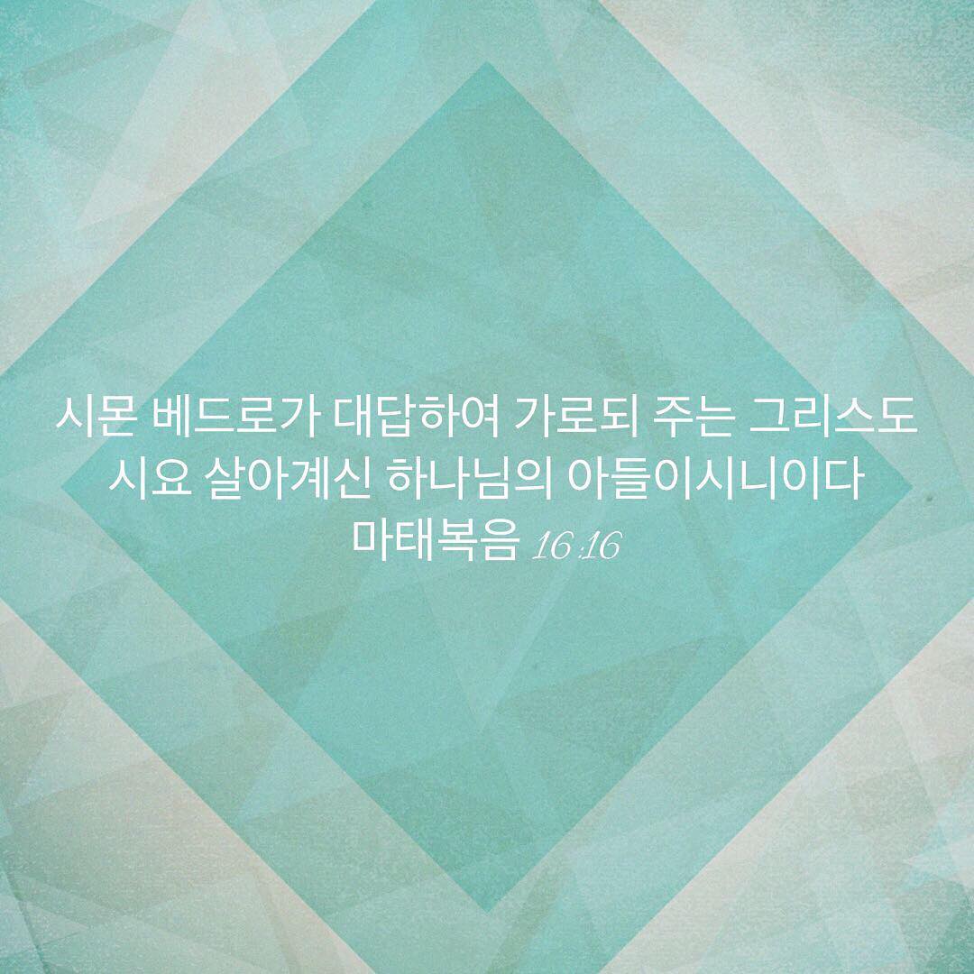성구이미지