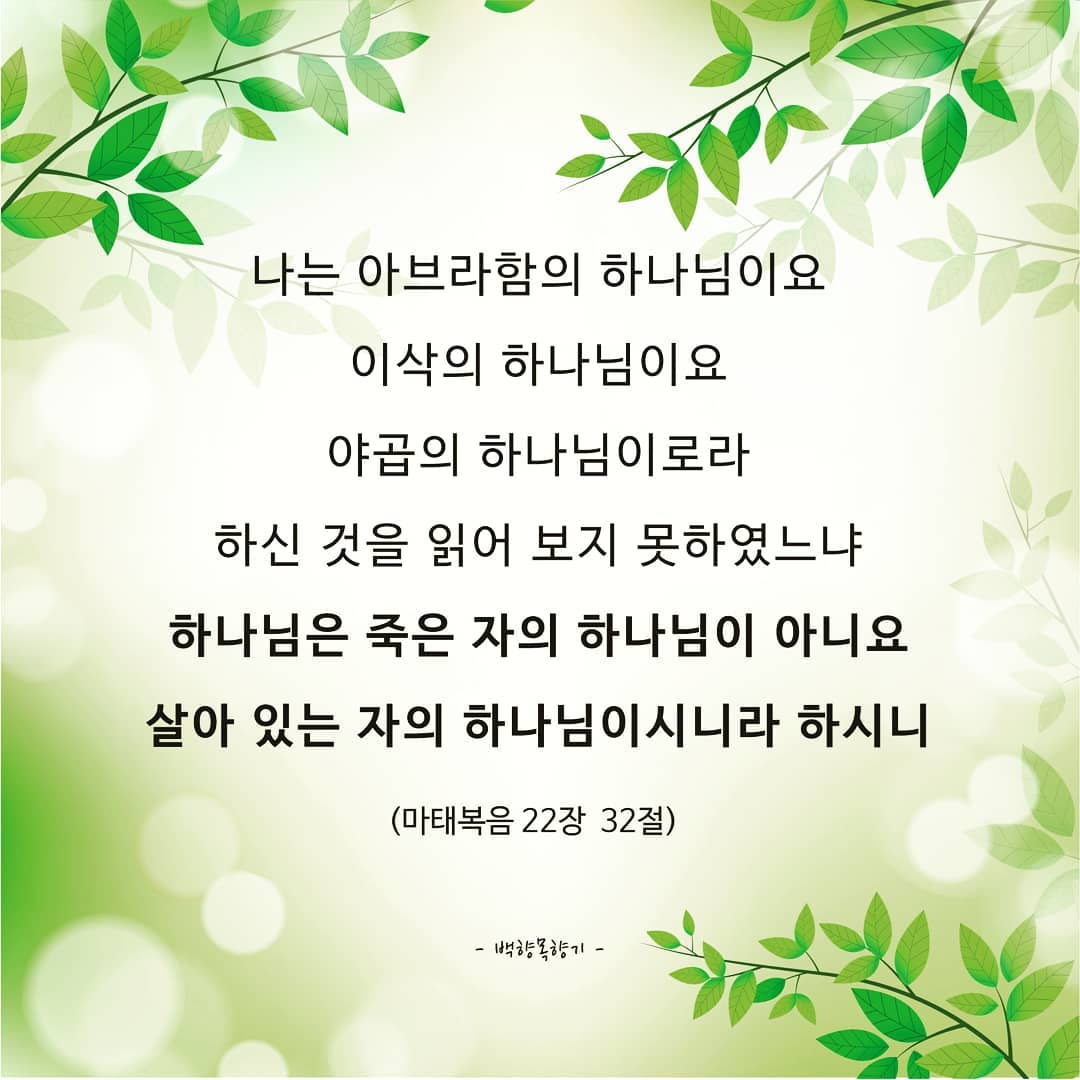 성구이미지