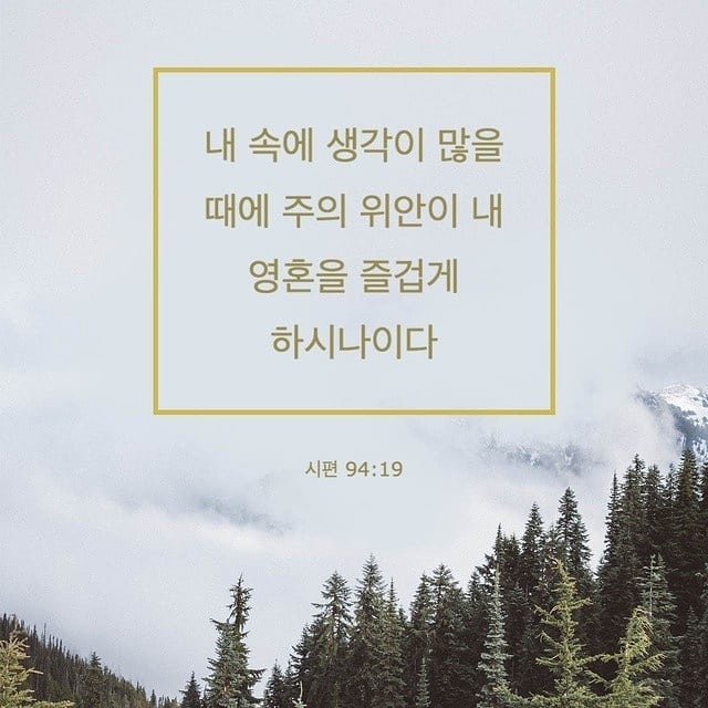 성구이미지