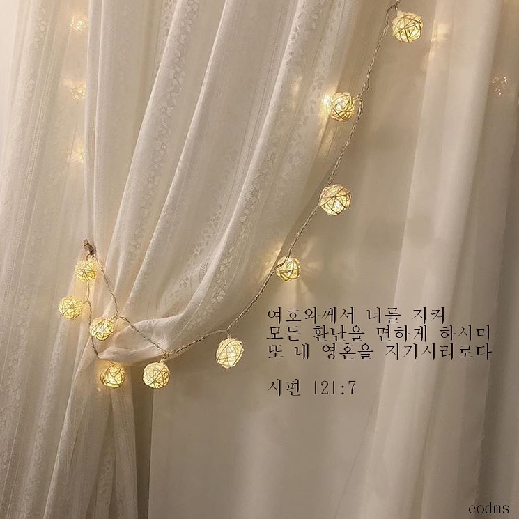 성구이미지