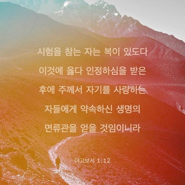 성구이미지