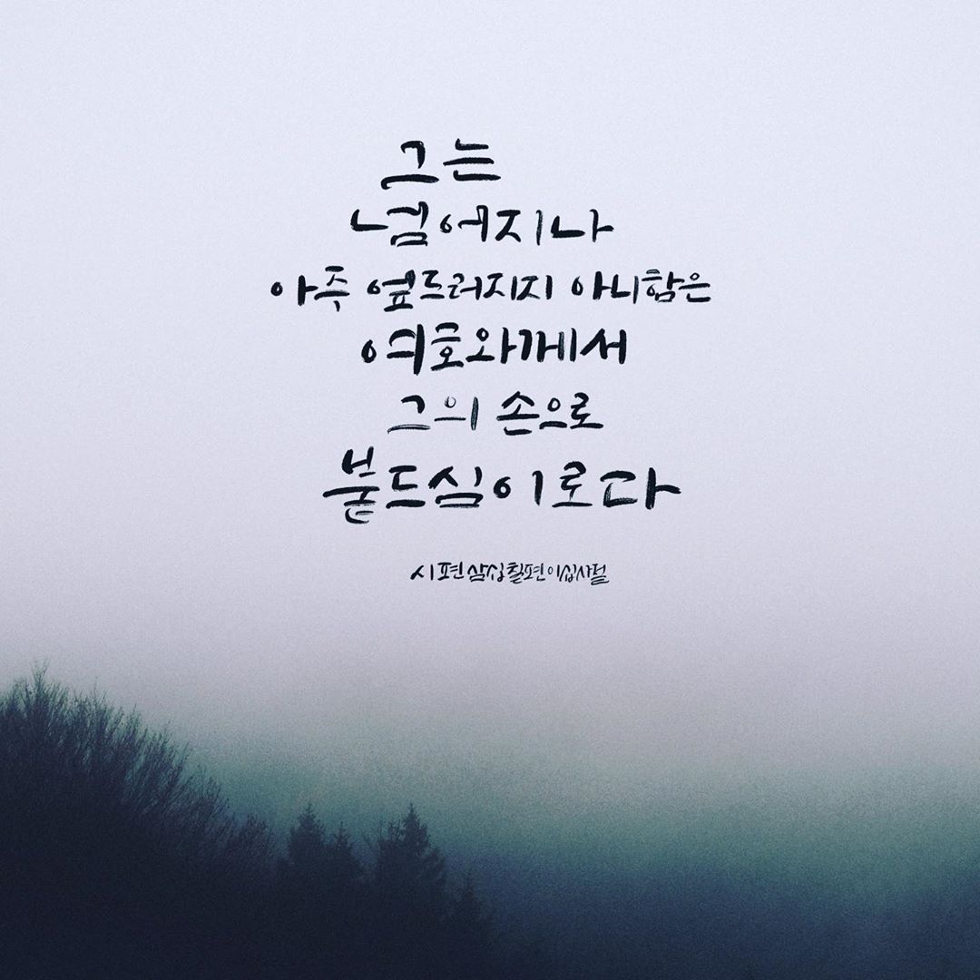 성구이미지