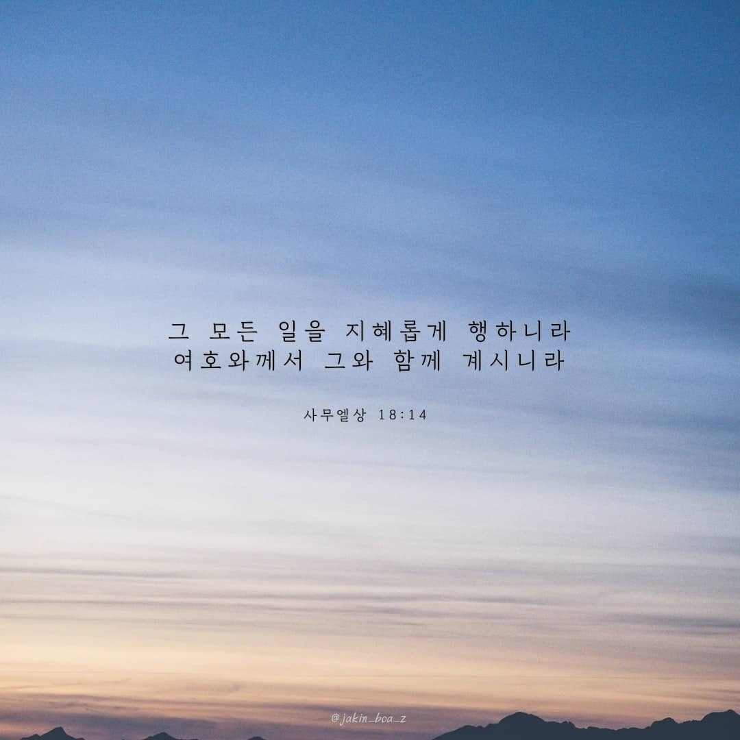 성구이미지