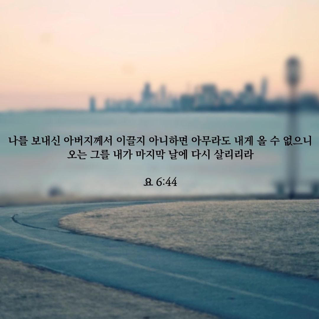 성구이미지