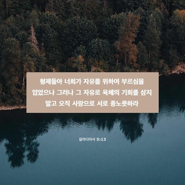 성구이미지
