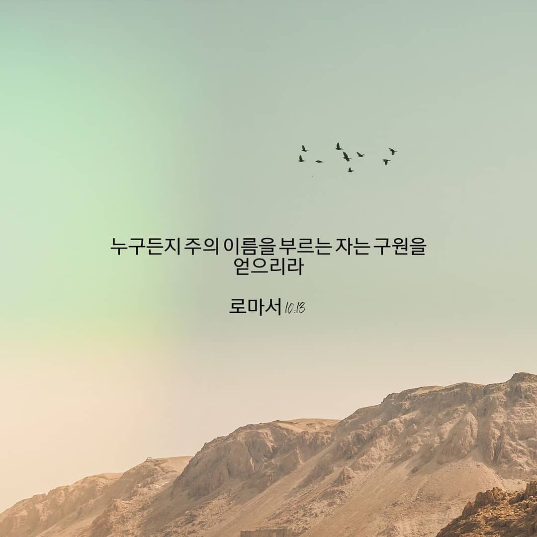 성구이미지